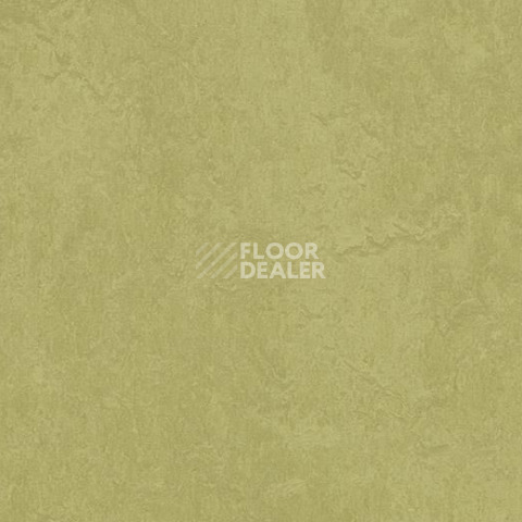 Линолеум Forbo Marmoleum Marbled Fresco 3265-326535 avocado фото 1 | FLOORDEALER